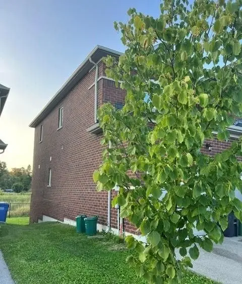 Southgate, ON N0C 1B0,305 Hagane ST