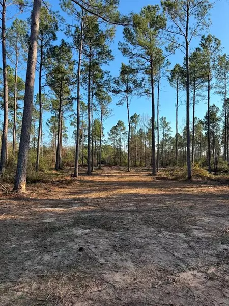 TBD-B County Road 216, Beckville, TX 75631