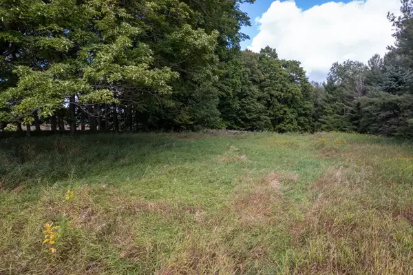 Lake Ann, MI 49650,Lot #9 Kadi LN