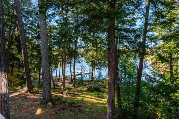 Georgian Bay, ON L0K 1S0,19 Huron TRL