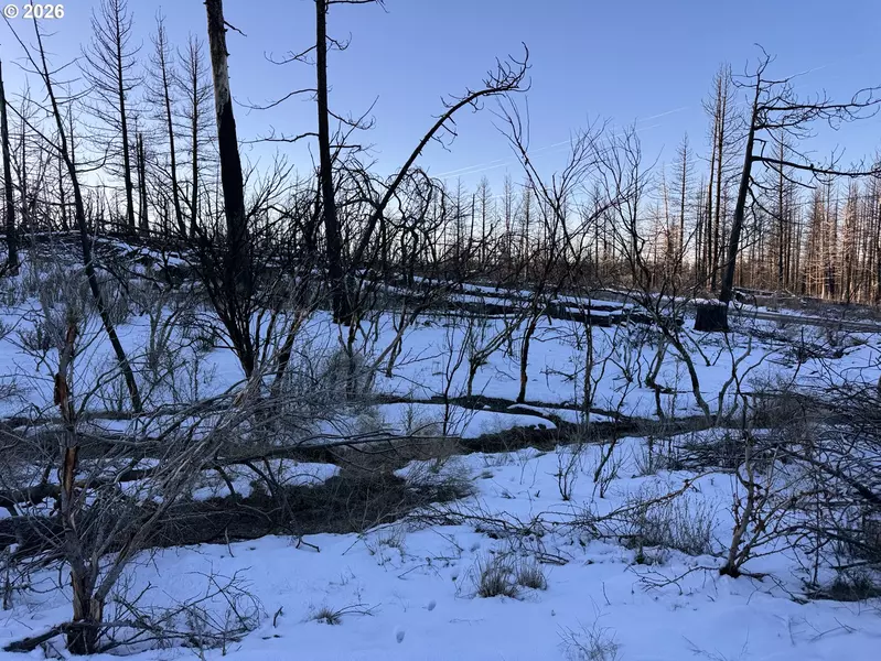 Hummingbird DR #1, Bonanza, OR 97623