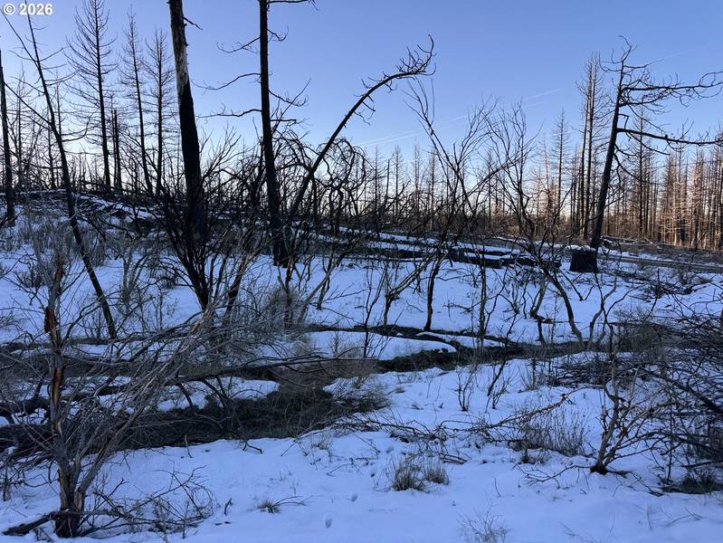 Hummingbird DR #1, Bonanza, OR 97623