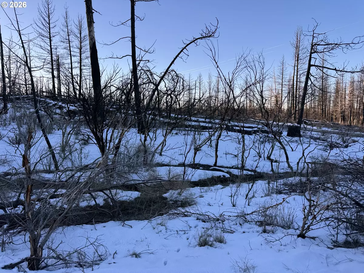 Bonanza, OR 97623,Hummingbird DR #1