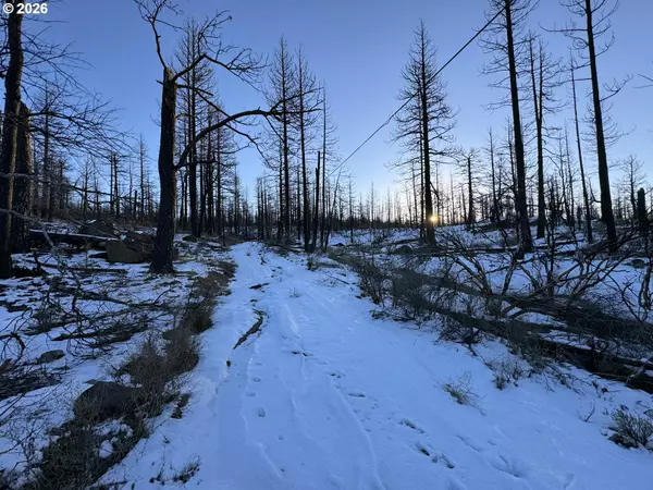 Bonanza, OR 97623,Hummingbird DR #1