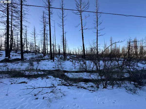 Bonanza, OR 97623,Hummingbird DR #1