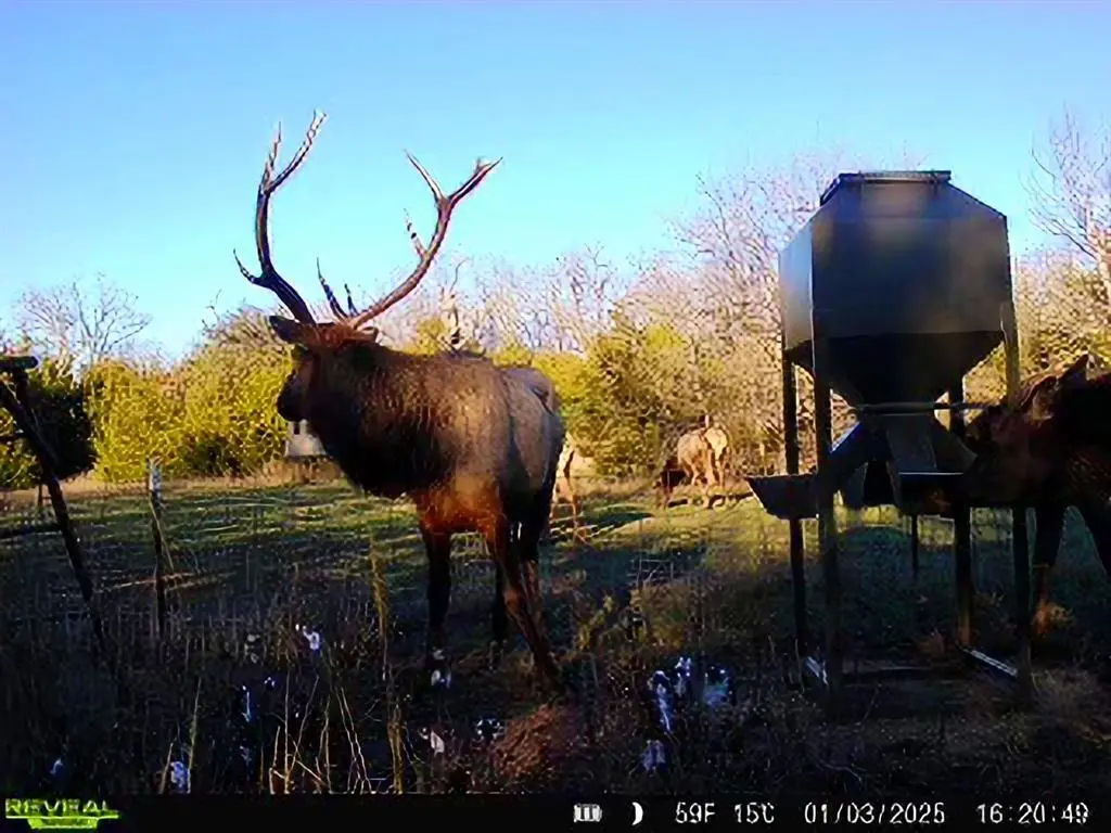 Mcalester, OK 74538,000 N3840 Road