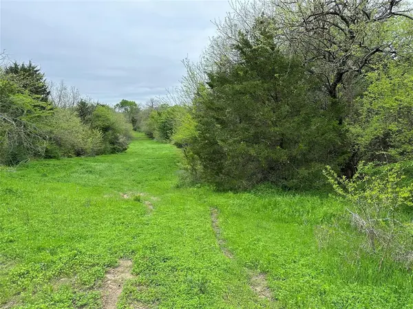 Greenville, TX 75401,Tract 4 FM 2194