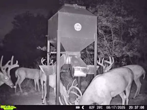 Mcalester, OK 74538,000 N3840 Road