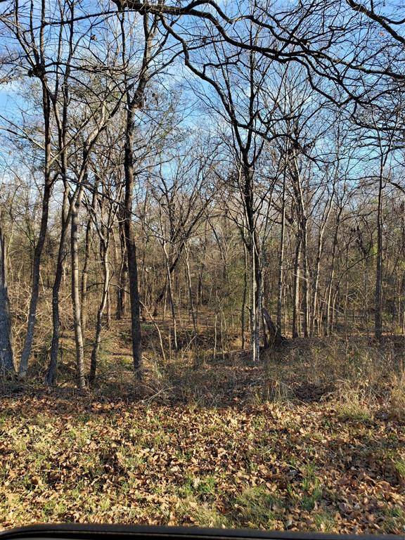 0 Wood Lane, Mabank, TX 75156