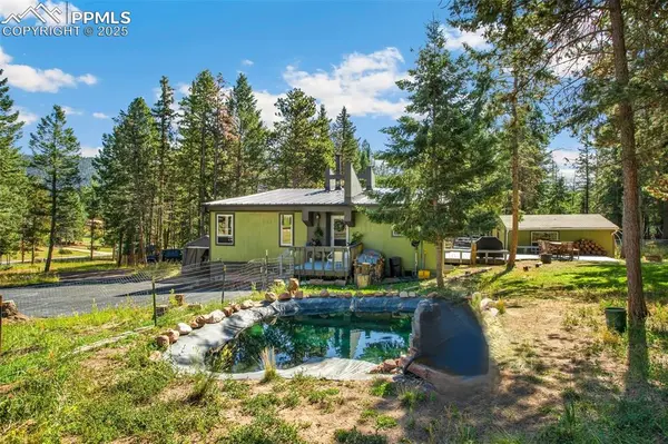 Woodland Park, CO 80863,123 Saddle DR