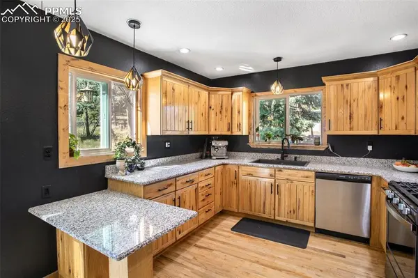 Woodland Park, CO 80863,123 Saddle DR