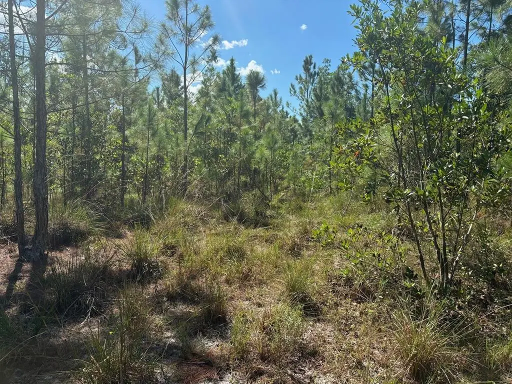 St. Cloud, FL 34772,0 HOLOPAW GROVES RD
