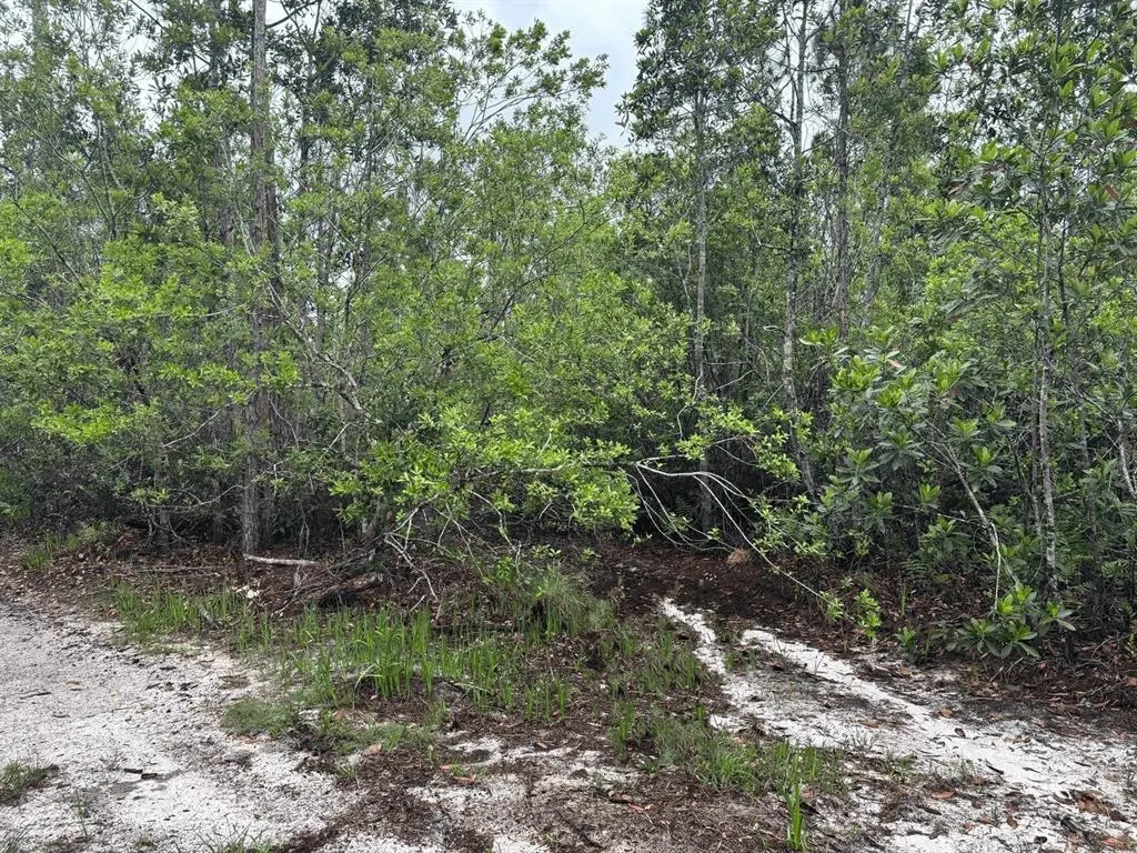 St. Cloud, FL 34772,0 HOLOPAW GROVES RD