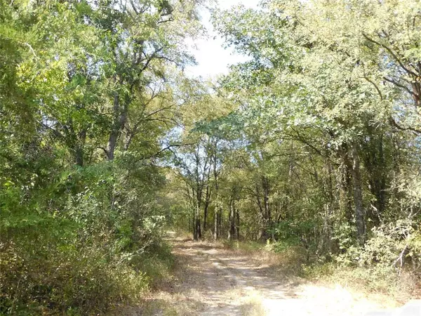 Hubbard, TX 76648,451 HCR3335 Road