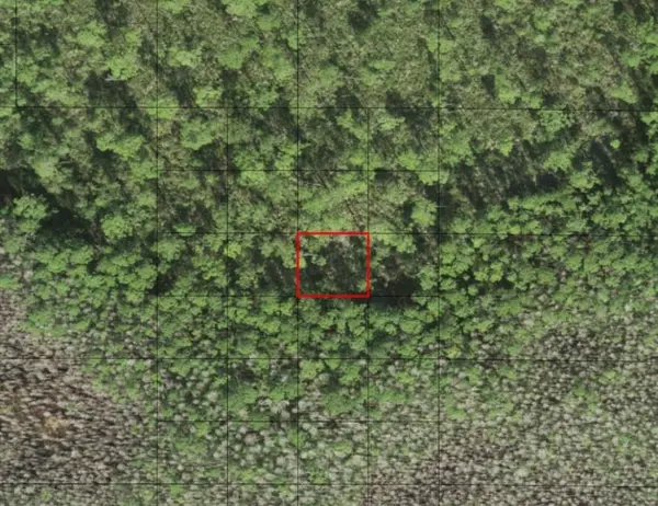 0 HOLOPAW GROVES RD, St. Cloud, FL 34772