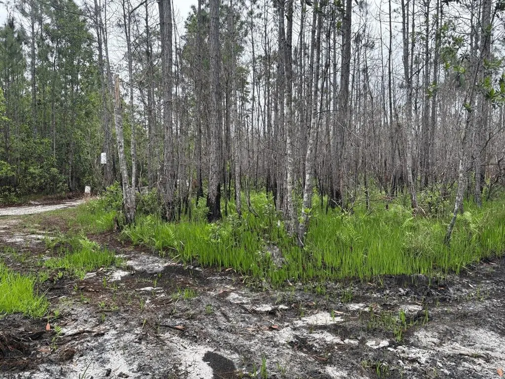 St. Cloud, FL 34772,0 HOLOPAW GROVES RD