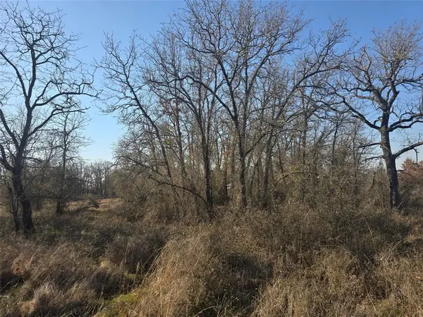 Poolville, TX 76487,1017 VH Ranch Road