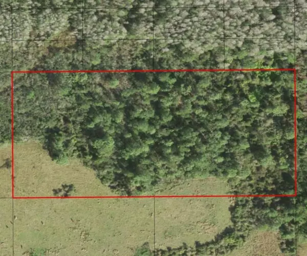 St. Cloud, FL 34772,0 HOLOPAW GROVES RD