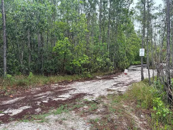 St. Cloud, FL 34772,0 HOLOPAW GROVES RD