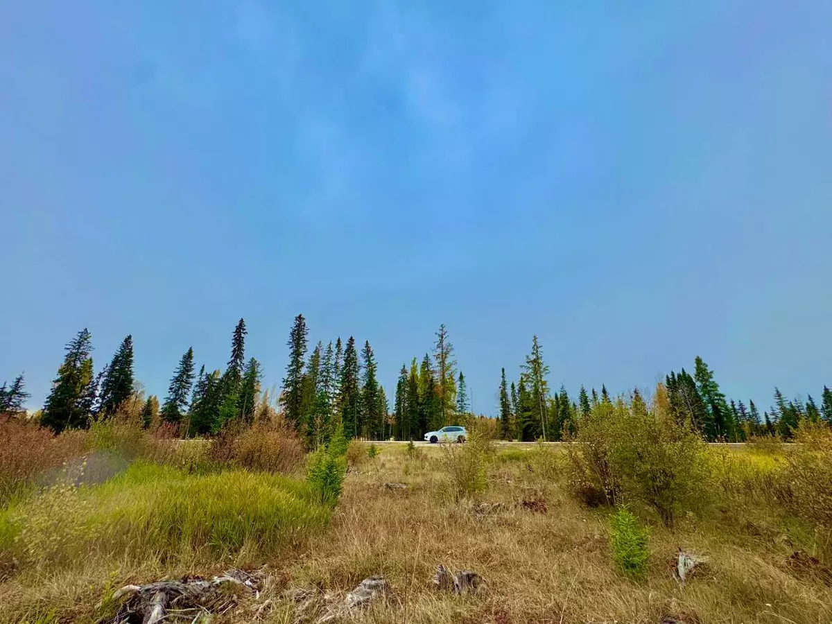 Rural Clearwater County, AB T4T 1A7,408 Valley View Close