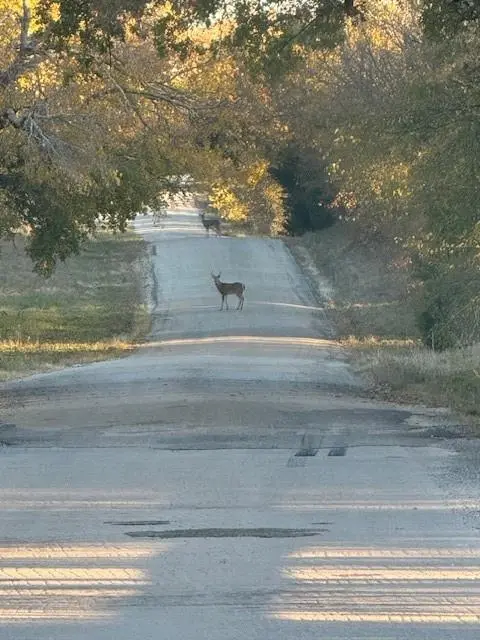 3151 Brookmole Road, Nocona, TX 76255