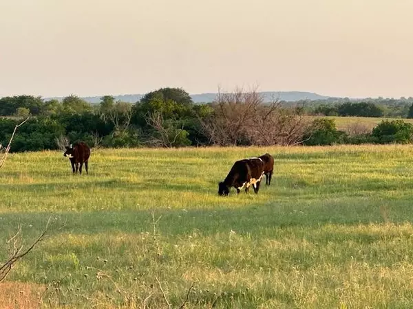 Nocona, TX 76255,3151 Brookmole Road
