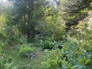 White Salmon, WA 98672,Oak Ridge RD