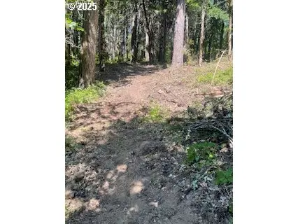 White Salmon, WA 98672,Oak Ridge RD