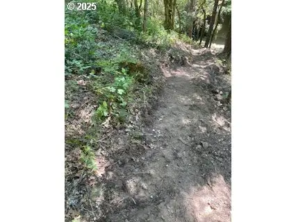 White Salmon, WA 98672,Oak Ridge RD