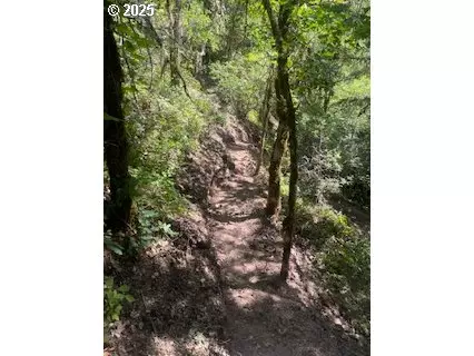 White Salmon, WA 98672,Oak Ridge RD