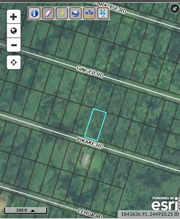 Pahoa, HI 96778,PIKAKE RD