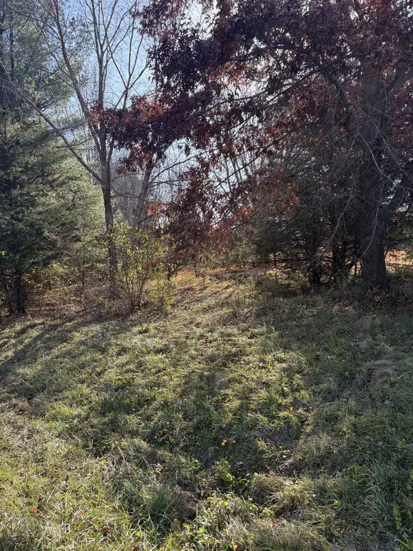 7A255 Tomahawk Lane, Apple River, IL 61001