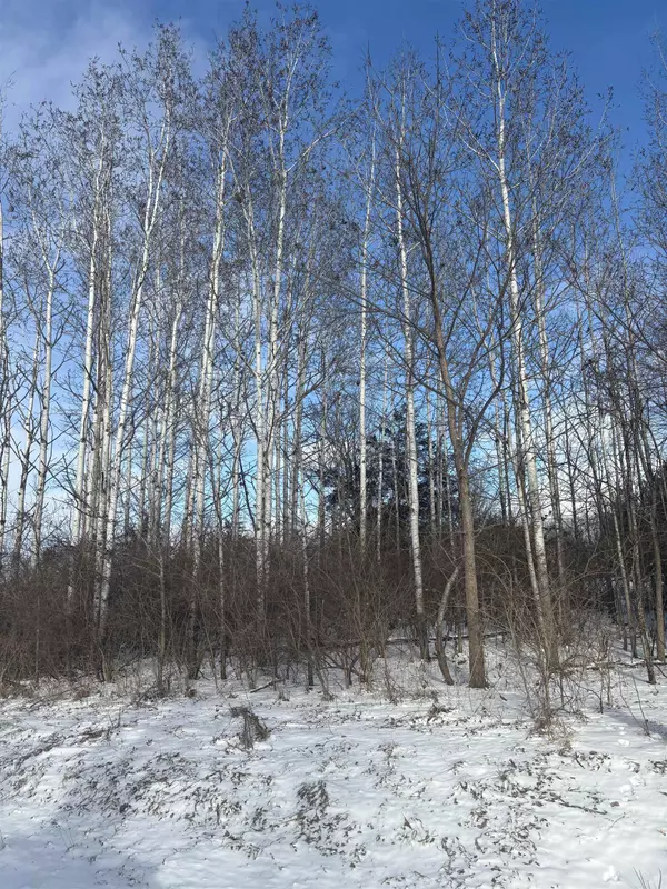 Apple River, IL 61001,2A3 Hidden Spring Lane