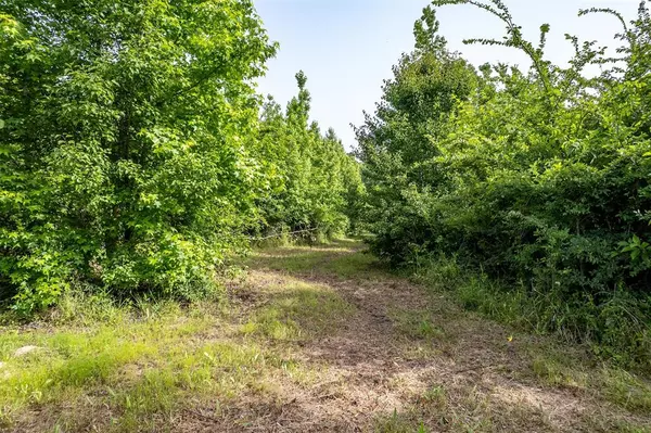 Winona, TX 75792,0 CR 345