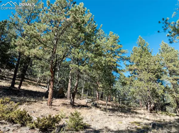 205 Stonehenge DR, Florissant, CO 80816