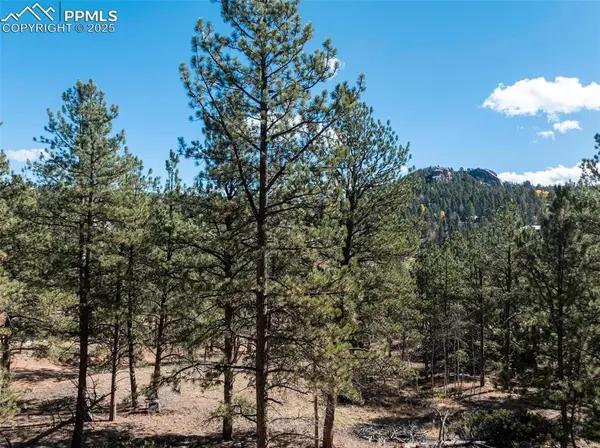 205 Stonehenge DR, Florissant, CO 80816