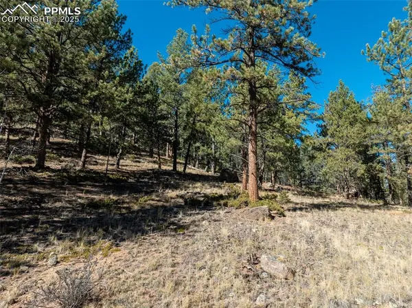 205 Stonehenge DR, Florissant, CO 80816