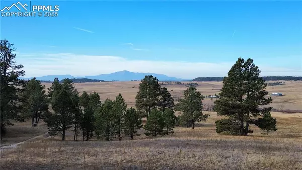 19921 N Elbert RD, Peyton, CO 80831
