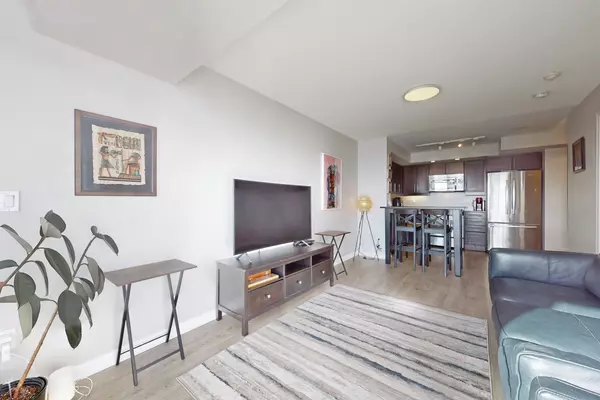 Toronto C01, ON M6K 3R4,85 East Liberty ST #1305