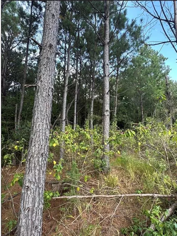 Avinger, TX 75630,TBD County Road 1582