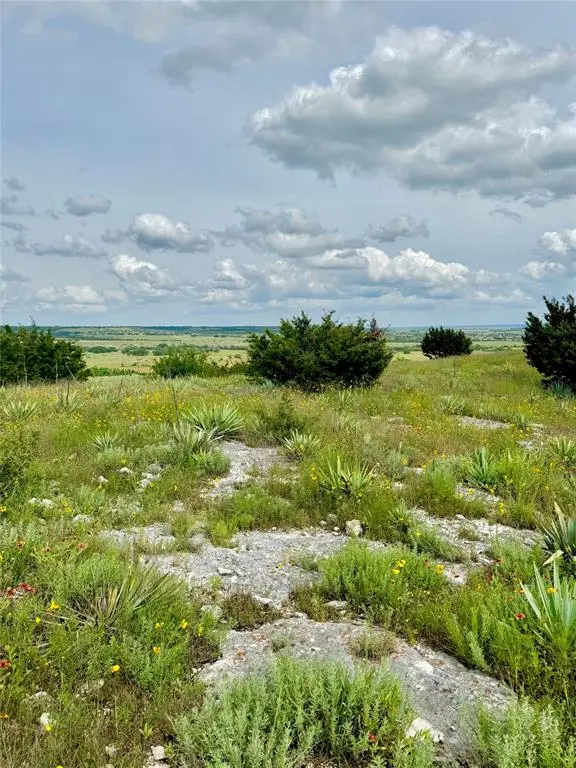 Glen Rose, TX 76690,2626 County Road 2015