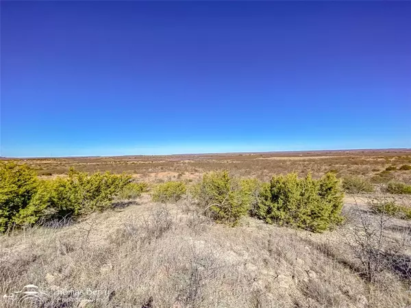 Lawn, TX 79530,TBD CR 170