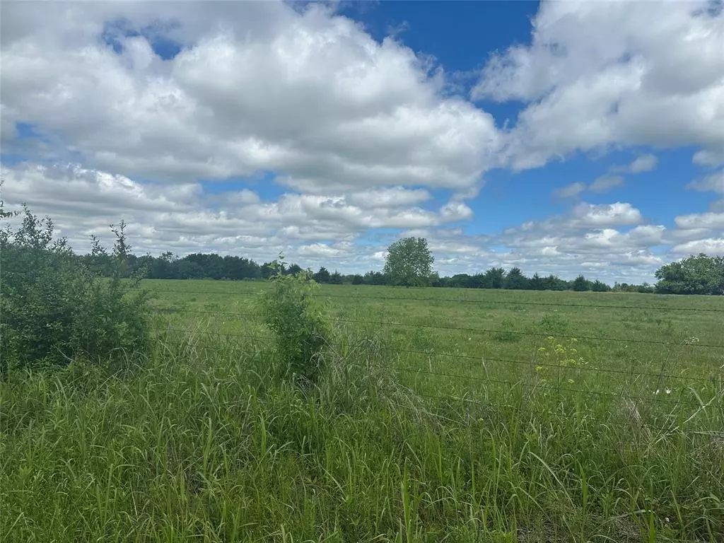 Ravenna, TX 75476,Lot 10 County Road 1400