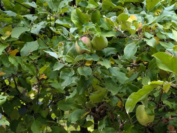 Gabriola Island, BC V0R 1X1,Lt 16 Berry Point Rd