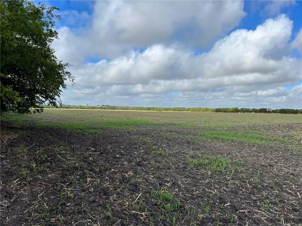 Rogers, TX 76569,TBD CR 117 Road