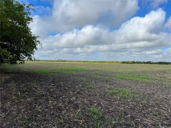 Rogers, TX 76569,TBD CR 117 Road