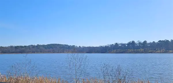 Tyler, TX 75707,13311 White Tail Drive #1