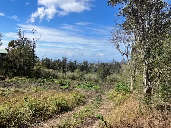 Ocean View, HI 96737,CATAMARAN LN