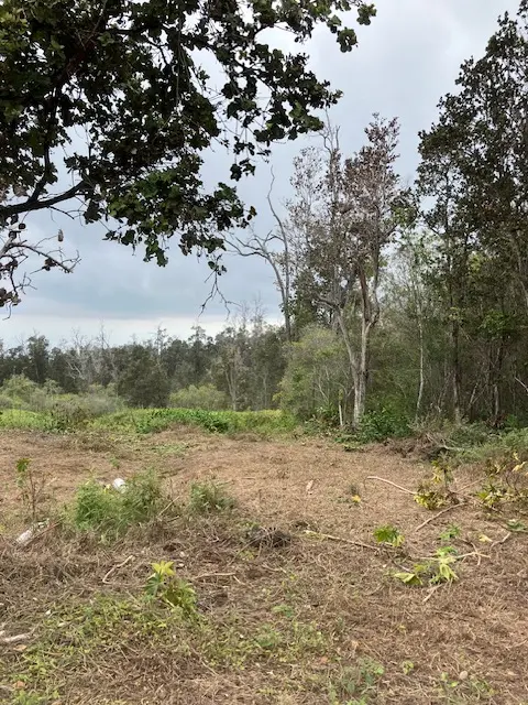 Ocean View, HI 96737,CATAMARAN LN