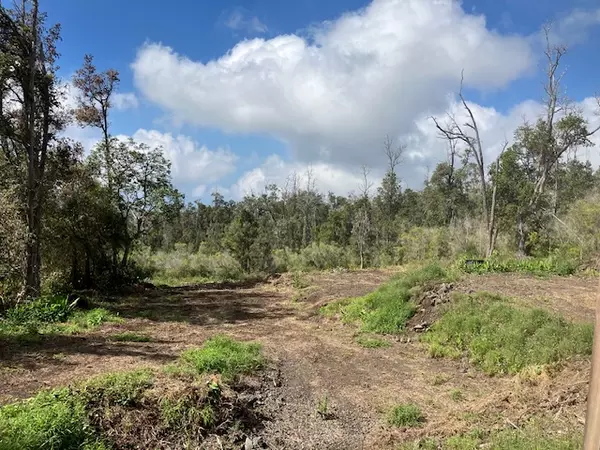 Ocean View, HI 96737,CATAMARAN LN